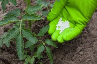 ปุ๋ยเม็ด