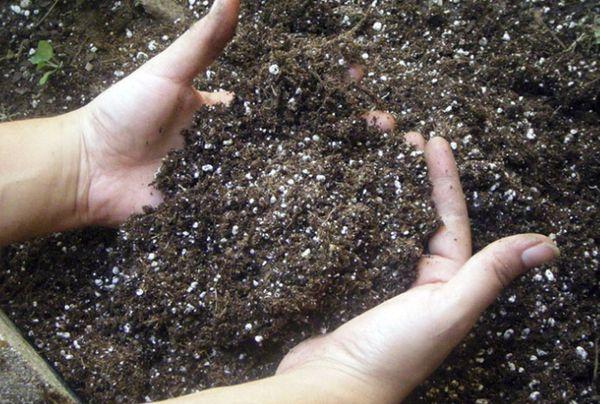 ไนโตรเจนกับดิน