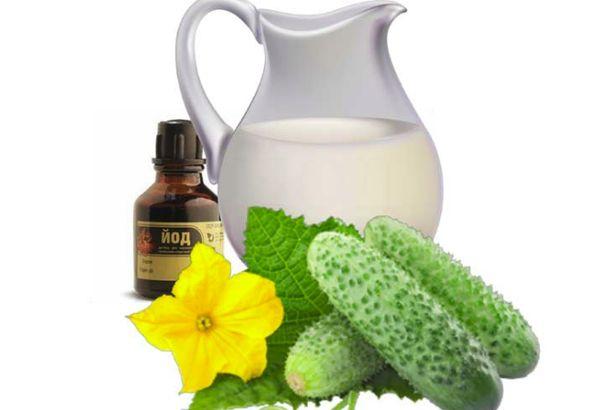 ไอโอดีนและนม