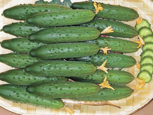 ทะยานสู่ท้องฟ้า F1