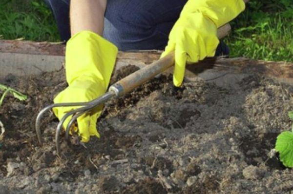 <iframe width="789" height="444" src="https://www.youtube.com/embed/GaTEACVSpew" frameborder="0" allow="accéléromètre; lecture automatique; média crypté; gyroscope; image dans l'image" allowfullscreen></iframe>