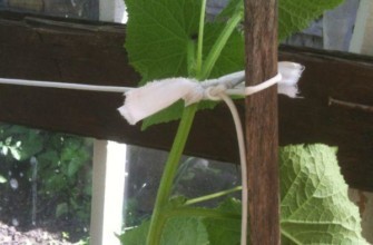 สายรัดถุงเท้าแบบมีแพทช์