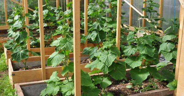 สายรัดตาข่าย