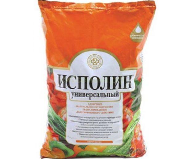 Un géant pour les concombres