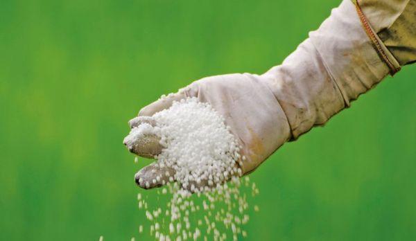 ปุ๋ยเม็ด