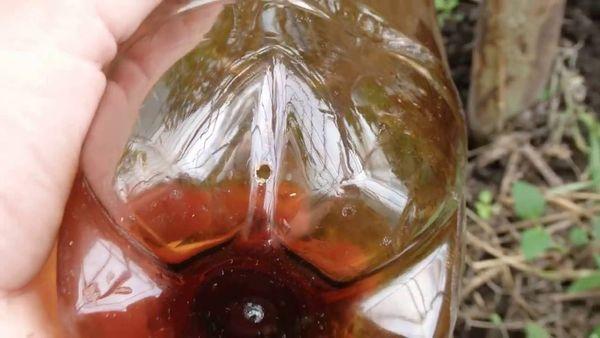 Des trous dans la bouteille