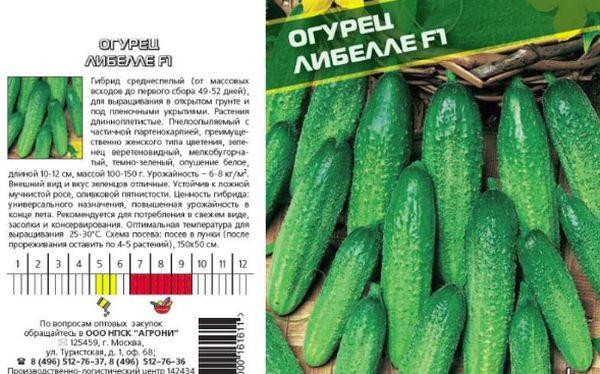 แตงกวาลิเบลล่า