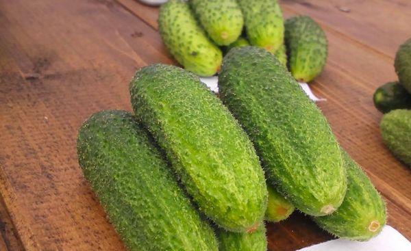 แตงกวาโซลินาส