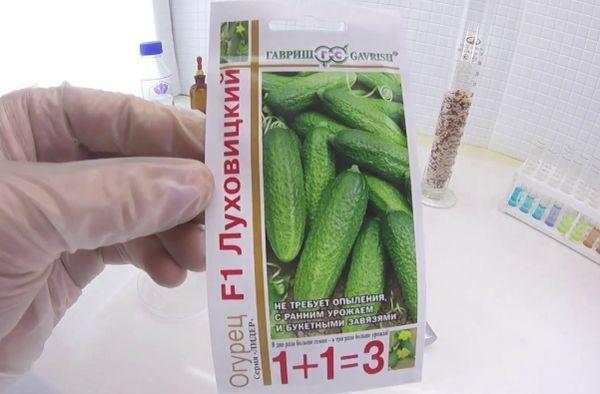 แตงกวา ลูโควิตสกี้ F1