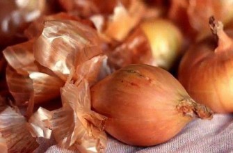 เปลือกหัวหอม