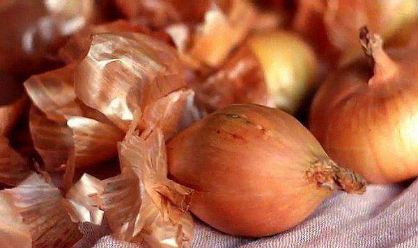 Pelure d'oignon
