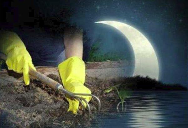 การหว่านเมล็ดในวันพระจันทร์ใหม่