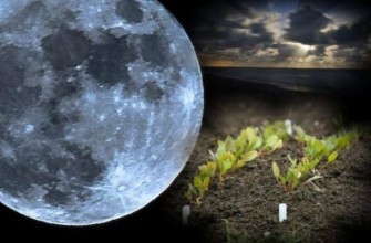 พระจันทร์เต็มดวง