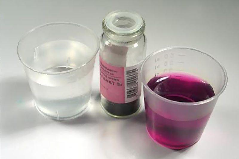 permanganate de potassium pour les concombres