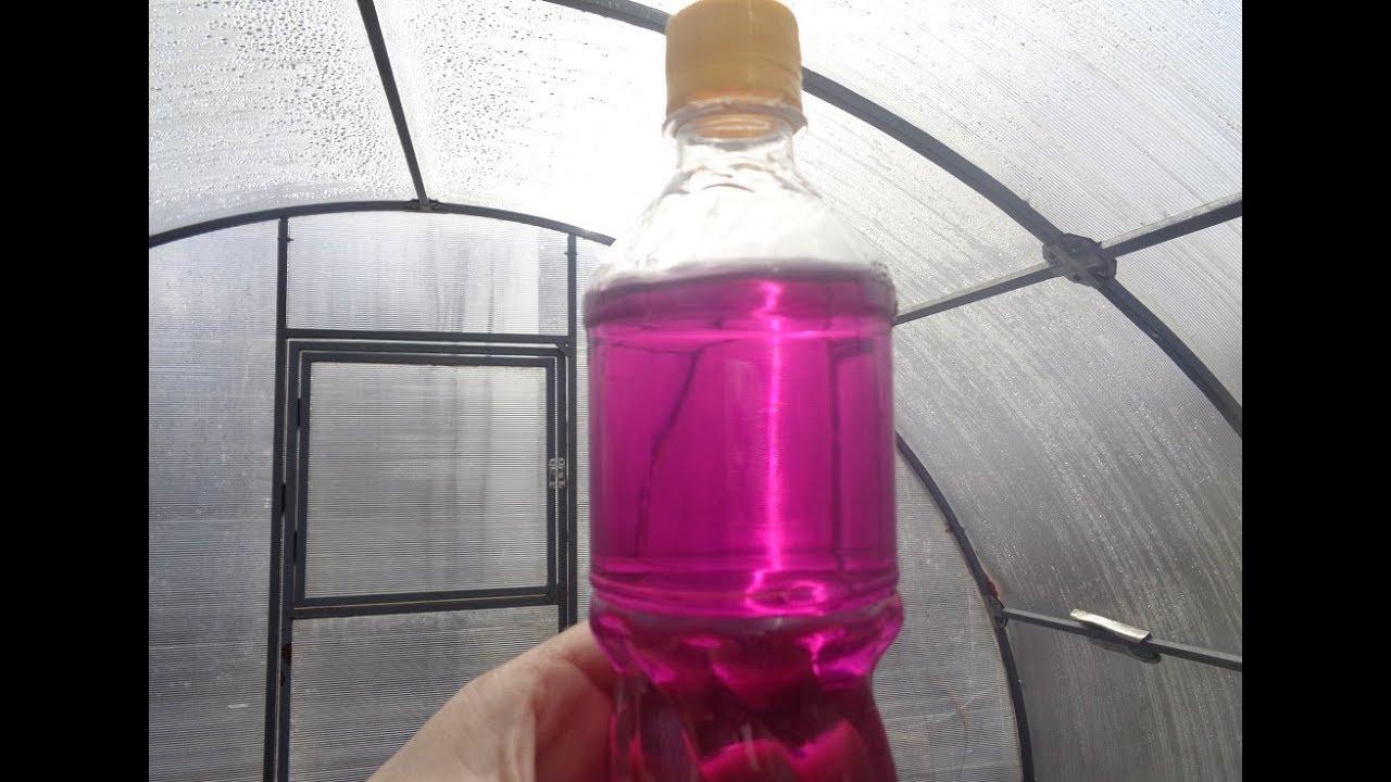 permanganate de potassium