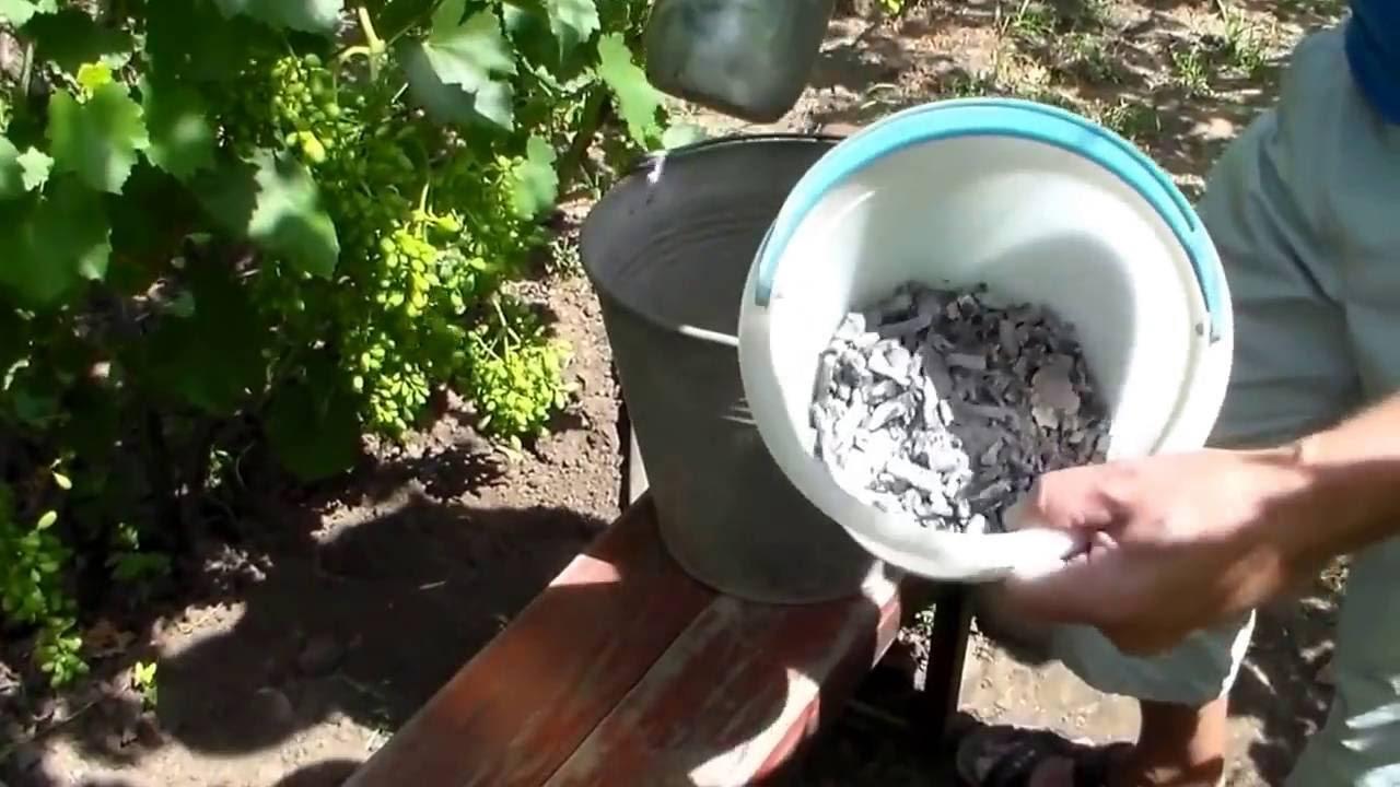 ขี้เถ้าไม้