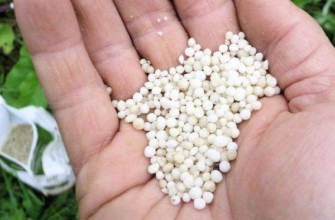 เม็ดยูเรีย