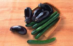 ปลูกมะเขือยาวในเรือนกระจกเดียวกับแตงกวาได้ไหม? ปลูกและดูแลยังไง?