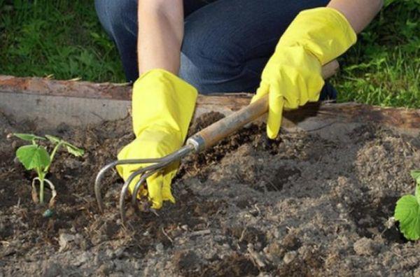 การคลายดิน