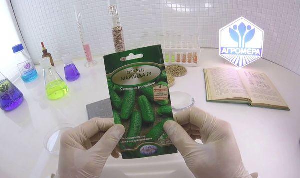 แพ็คเมล็ดพันธุ์