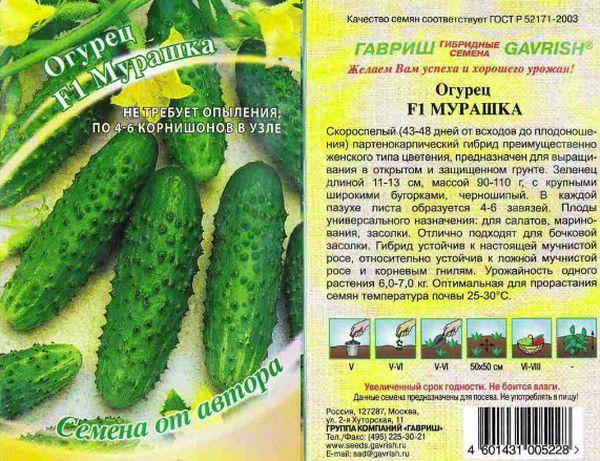 Variété de fourmis