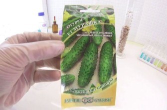 เมล็ดแตงกวา