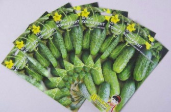 คู่แข่งแตงกวา