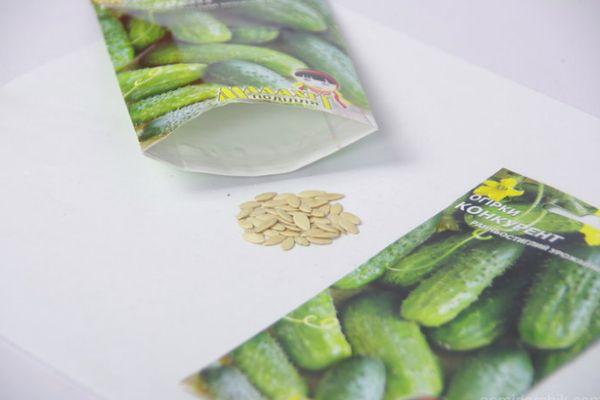 เมล็ดพันธุ์หนึ่งแพ็ค