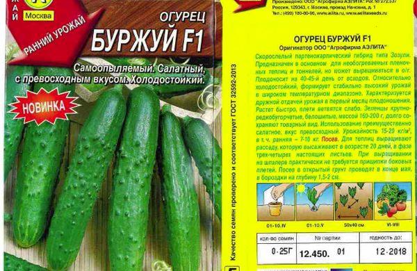 concombre Burzhuy F1