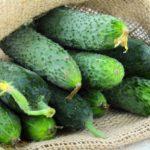 แตงกวาแอตแลนติส