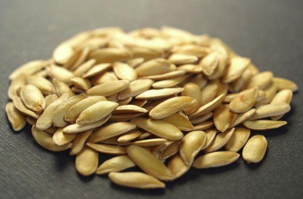 graines de concombre