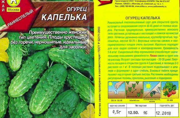 Les meilleures variétés de concombres pour la pleine terre dans la région de Moscou et leur culture