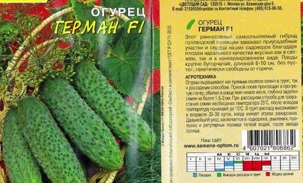 concombre Herman F1
