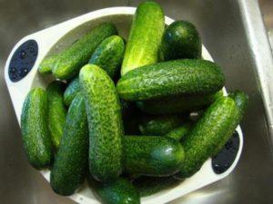 ลักษณะและคำอธิบายของแตงกวาพันธุ์ Klavdiya F1 ผลผลิตและการเพาะปลูก