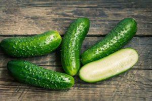 ลักษณะและลักษณะของแตงกวาพันธุ์ Libella F1 การปลูกและการดูแล