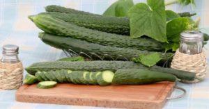 ลักษณะและลักษณะของแตงกวาพันธุ์ Emerald Stream F1 ผลผลิตและการเพาะปลูก