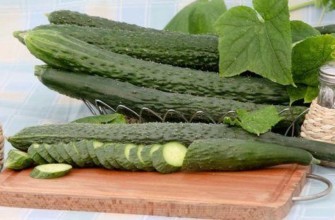 ลำธารมรกต f1