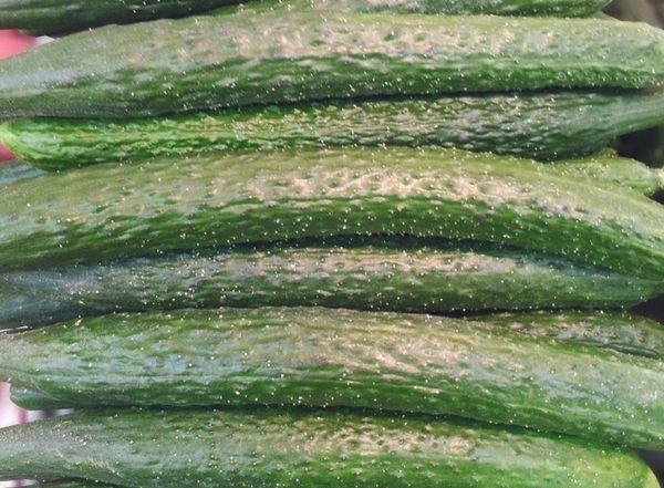 แตงกวาลูกผสม