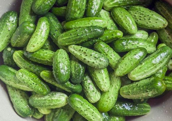 แตงกวาที่มีผลดก