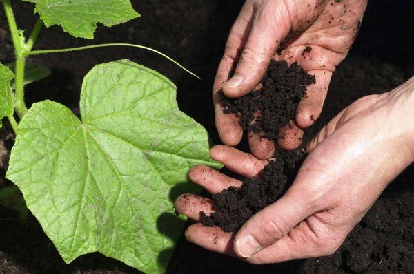 การคลายดิน