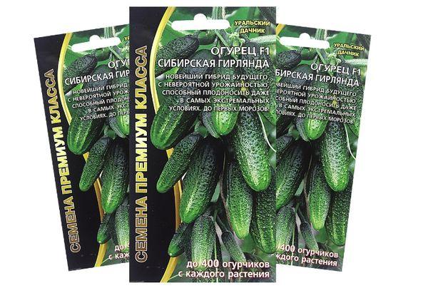 เมล็ดแตงกวา