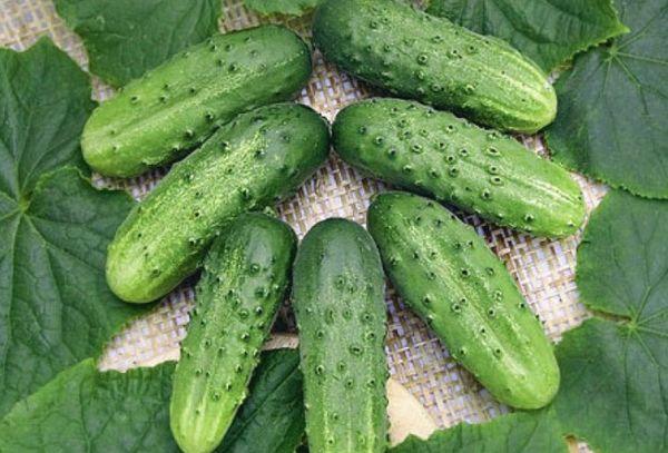 แตงกวาสุก