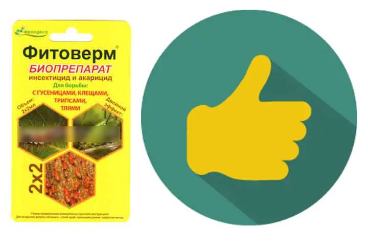 ยาฟิโตเวอร์ม