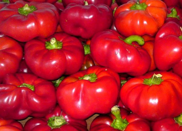 พริกหยวกกลม