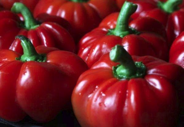 พริกไทยทับทิม