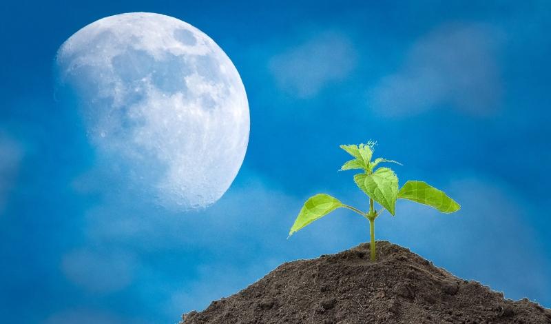 ปฏิทินจันทรคติ