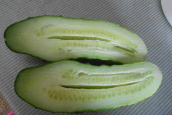 การขาดปุ๋ย