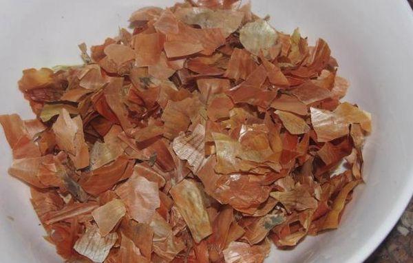 Pelures d'oignon