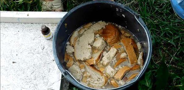 การป้อนขนมปัง