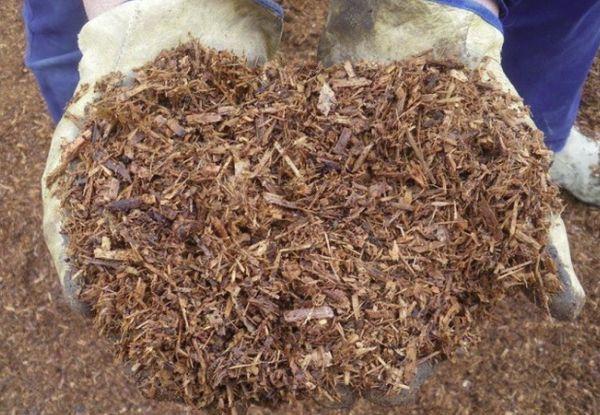 การคลุมดินแปลงสวน